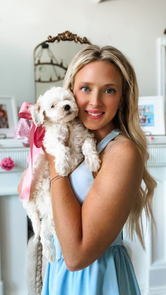 Micro Goldendoodle Girl $1200