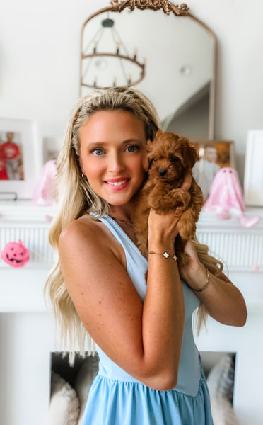 Micro F1BB Cavapoo Girl $2,500