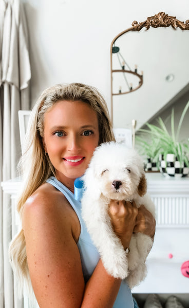 Micro Goldendoodle Boy $1,200
