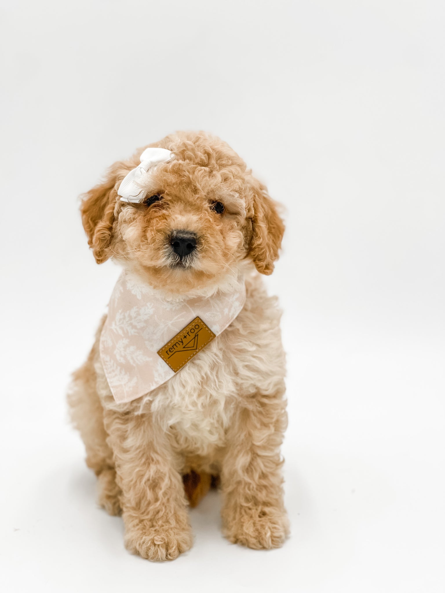 Micro Female $1,500