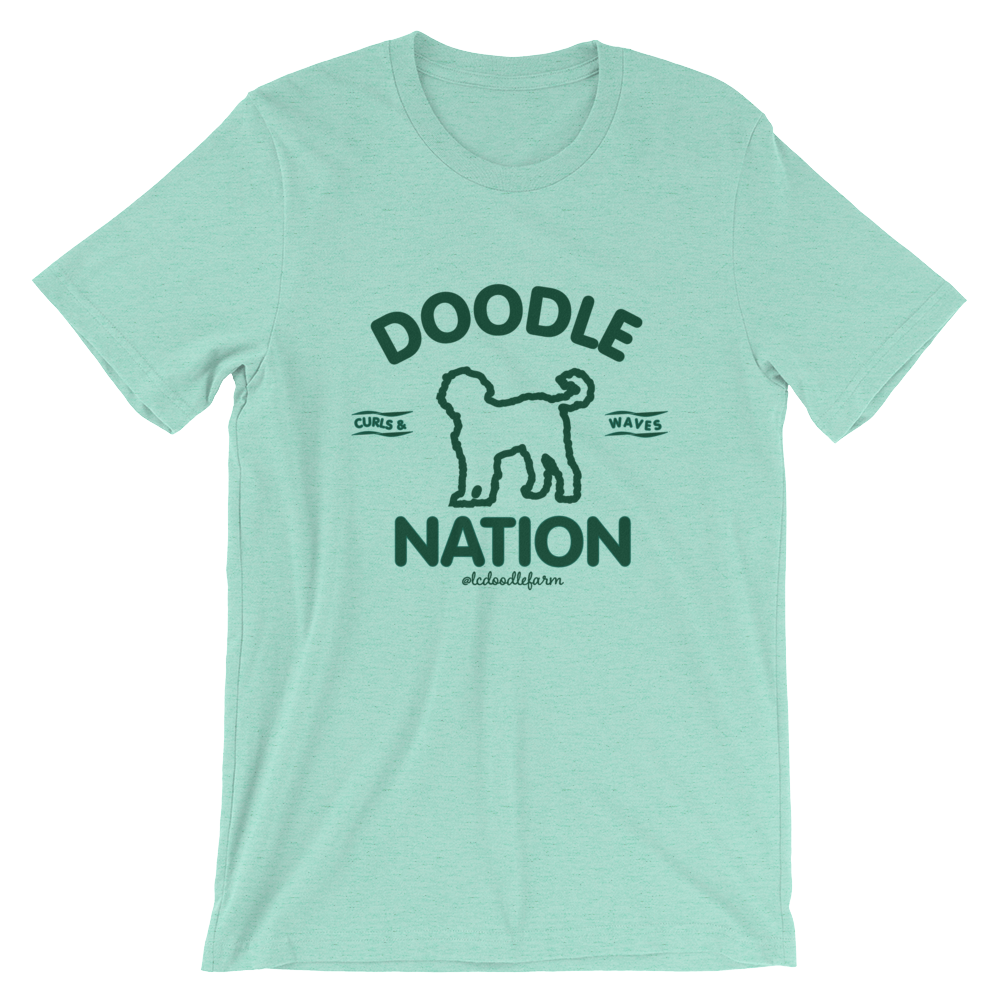 Doodle Nation